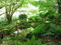 Bouchard Gardens, Vancouver Island